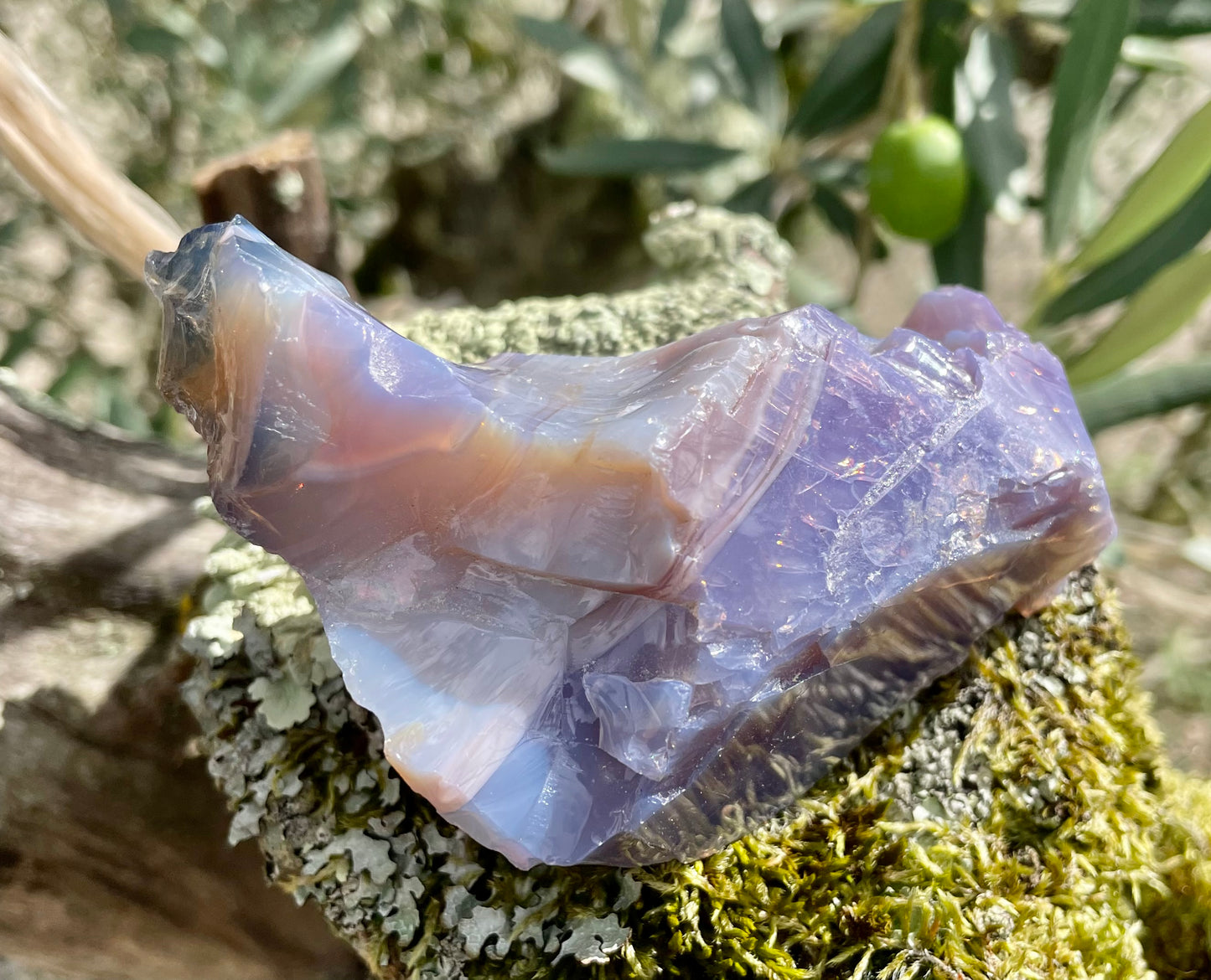 ANDARA Français opaque Dragon Impérial Flamme violette 142 g | french andaras 6D