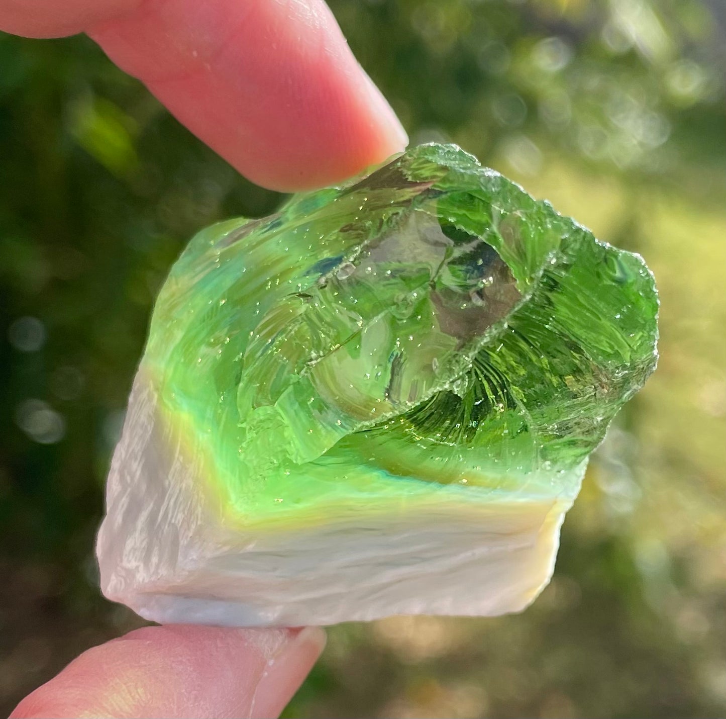 ANDARA• Amazonia & Mage de la Transcendence / 48 g ~ Nouvelle Génération