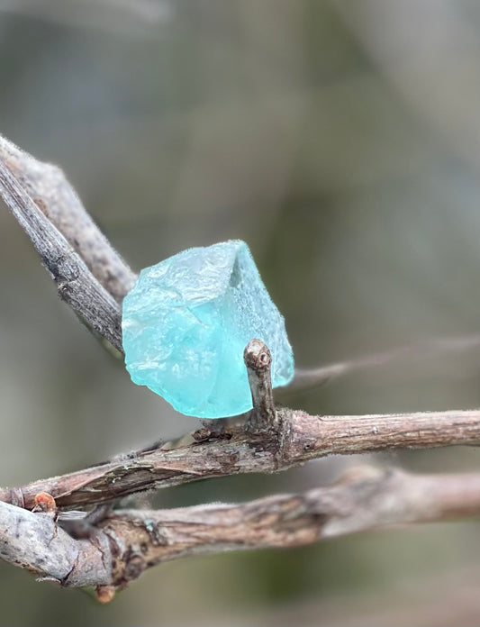 Baby Andara Africain – Point de retour ~ 9 g | La Magie des Andaras