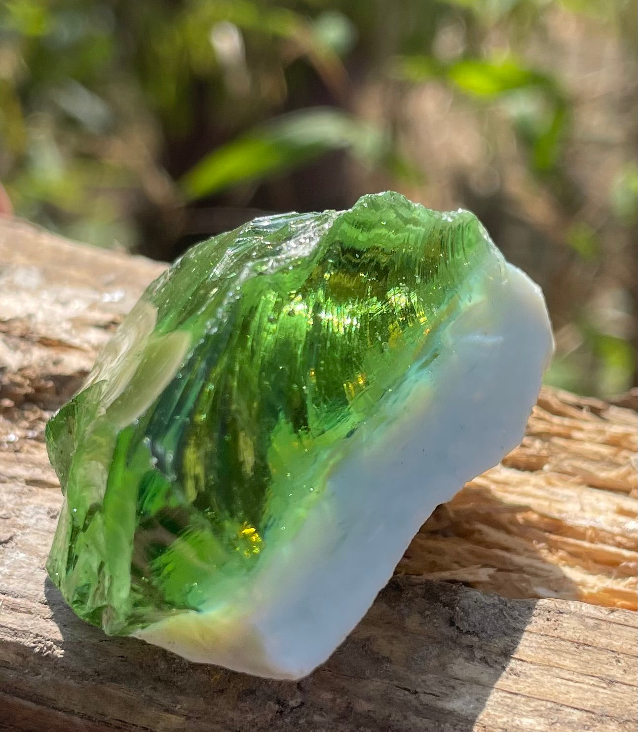ANDARA Gaïa Amazonia | 61 g | cristal 5D / 777