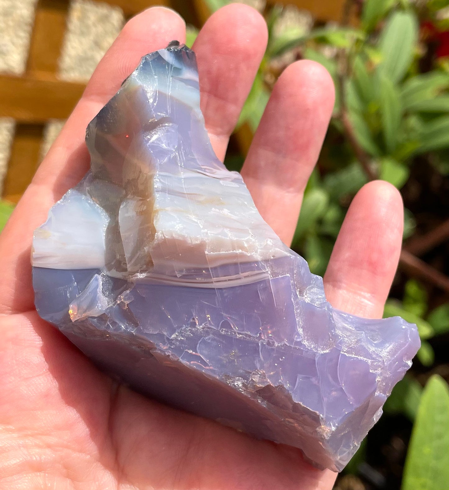 ANDARA Français opaque Dragon Impérial Flamme violette 142 g | french andaras 6D