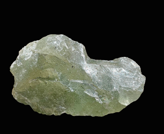 andara lady nellie dragon