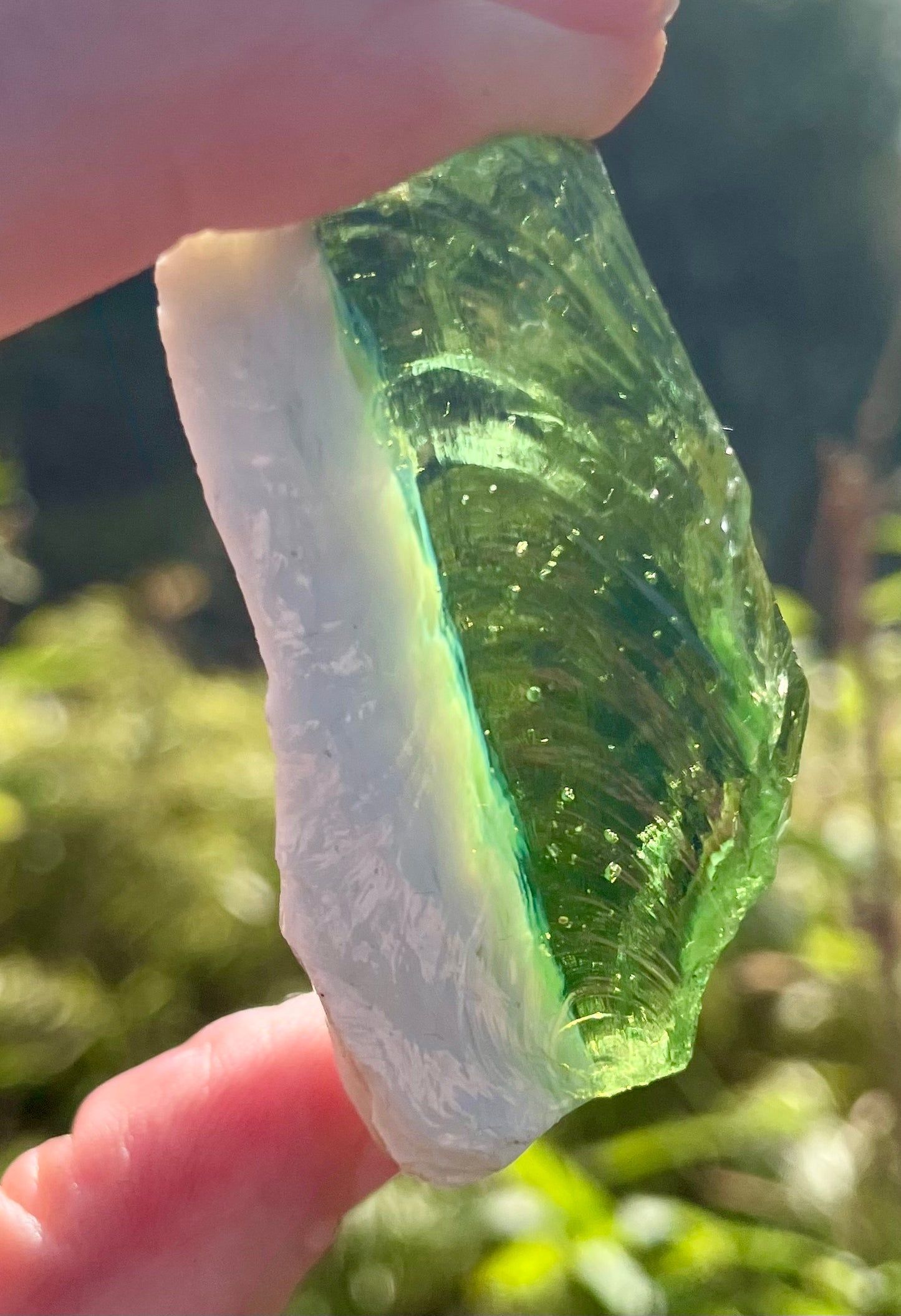 ANDARA Gaïa Amazonia | 61 g | cristal 5D / 777
