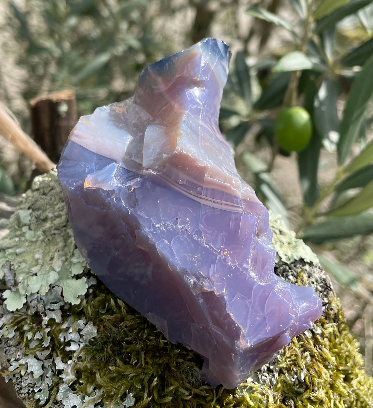 ANDARA Français opaque Dragon Impérial Flamme violette 142 g | french andaras 6D