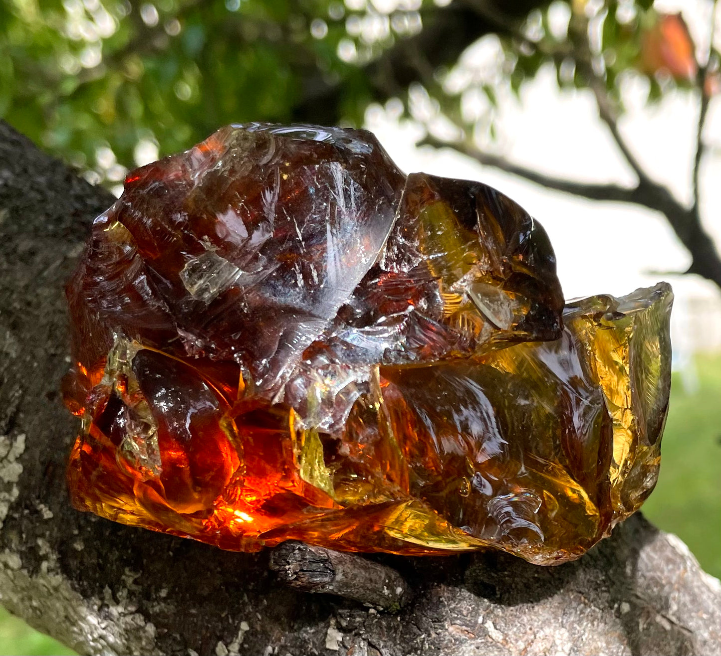 ANDARA Français Chamane du Soleil des 4 Terres Ambrées | 178 g | French ANDARA crystal