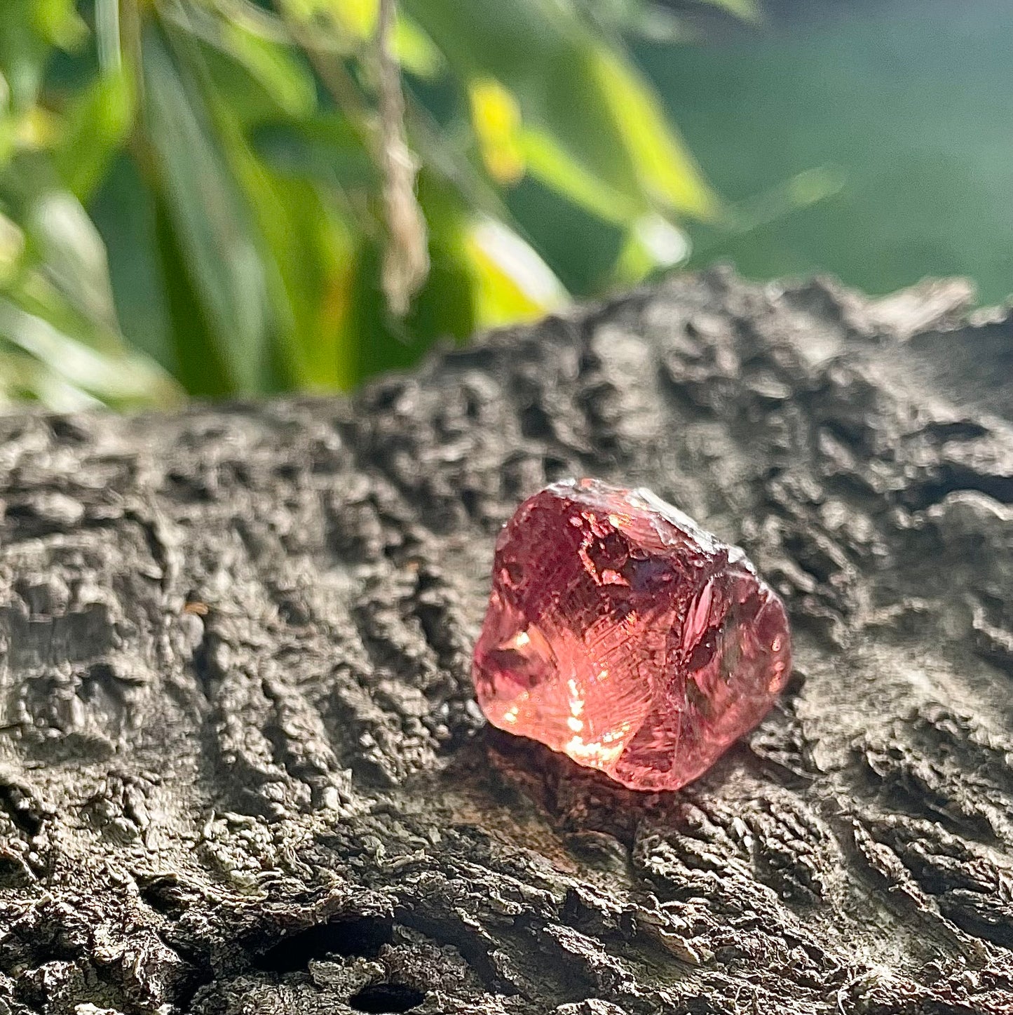 Baby ANDARA cendres de Rose • 15 g | premiers pas