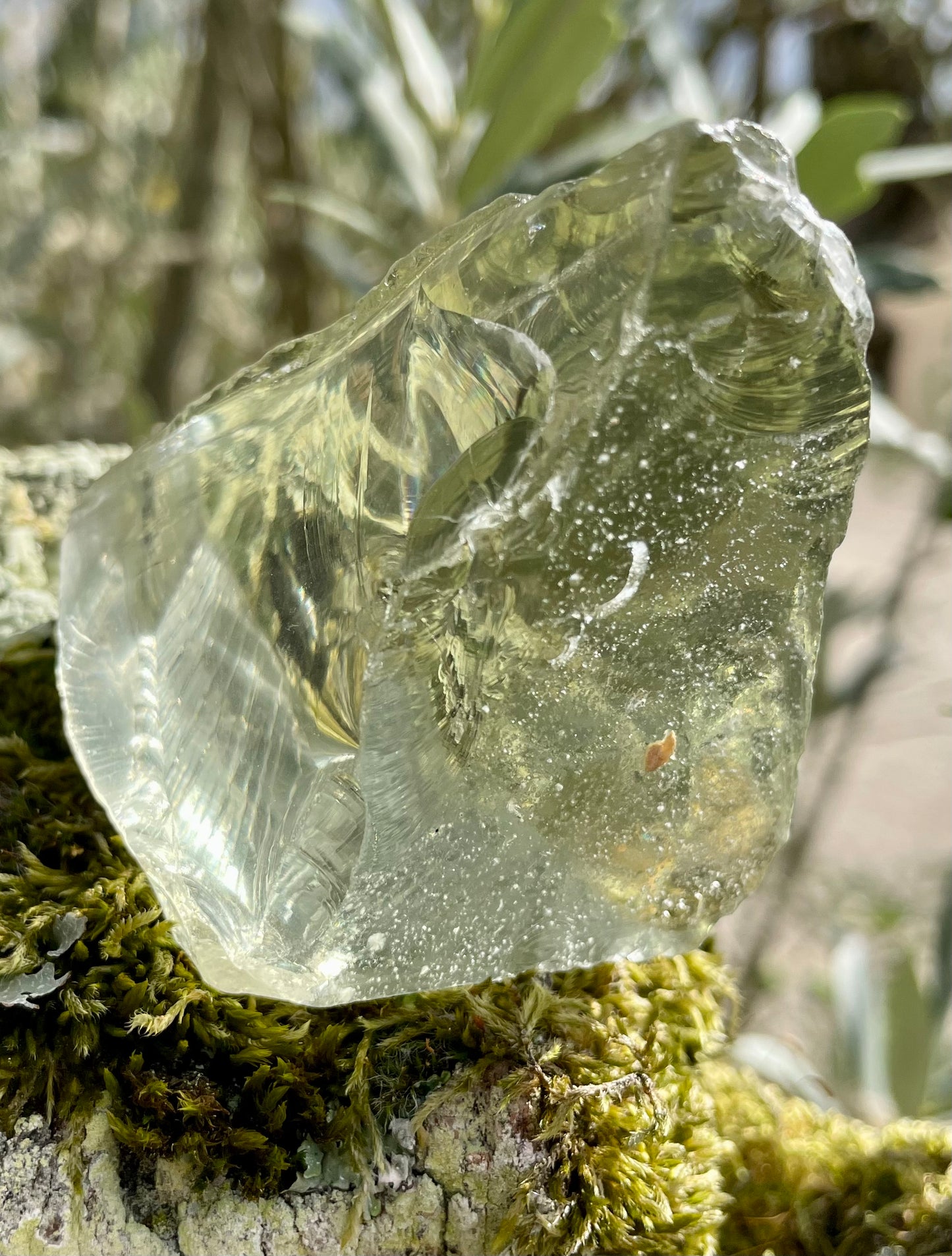 ANDARA• Africain Oracle de la Nouvelle Terre ~ 130 | cristal Afrique