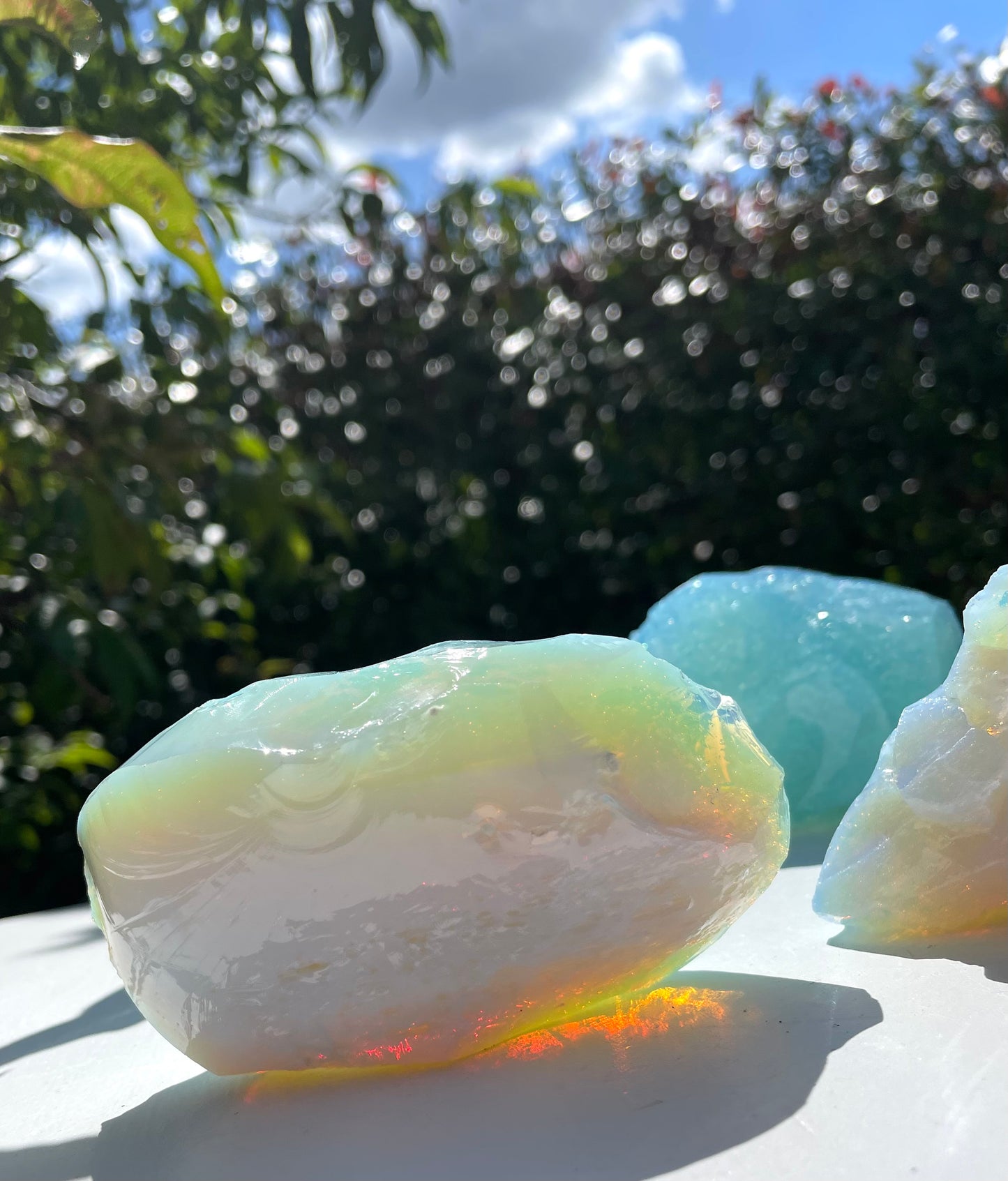 Lot ANDARA mixes Lignée des origines | 1115 g : tarif spécial