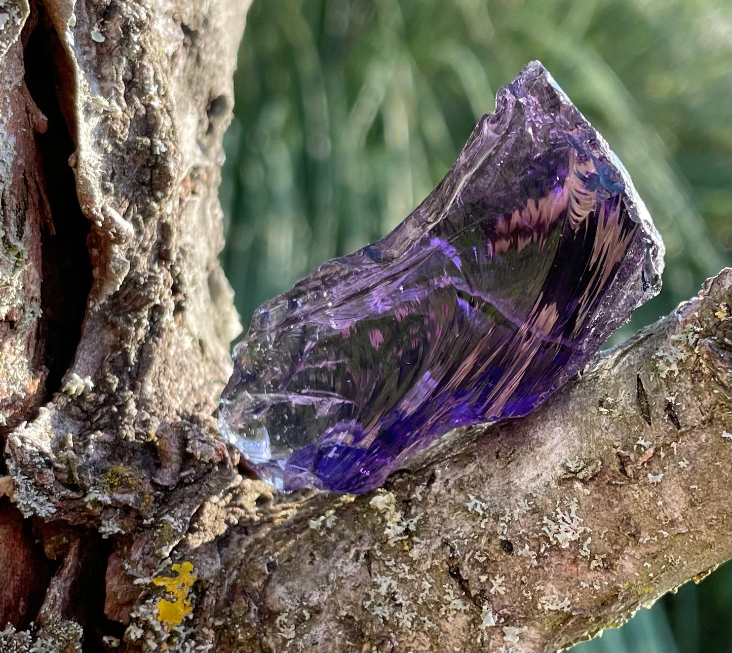 ANDARA Amethyste Souveraine | 30 g