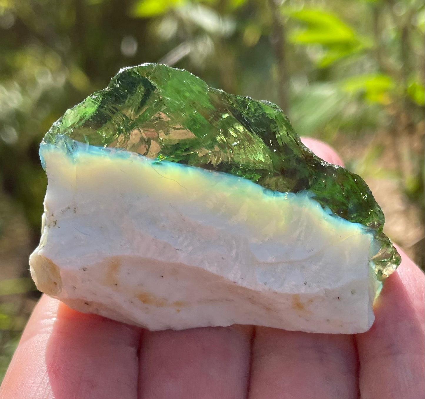 ANDARA Gaïa Amazonia | 61 g | cristal 5D / 777