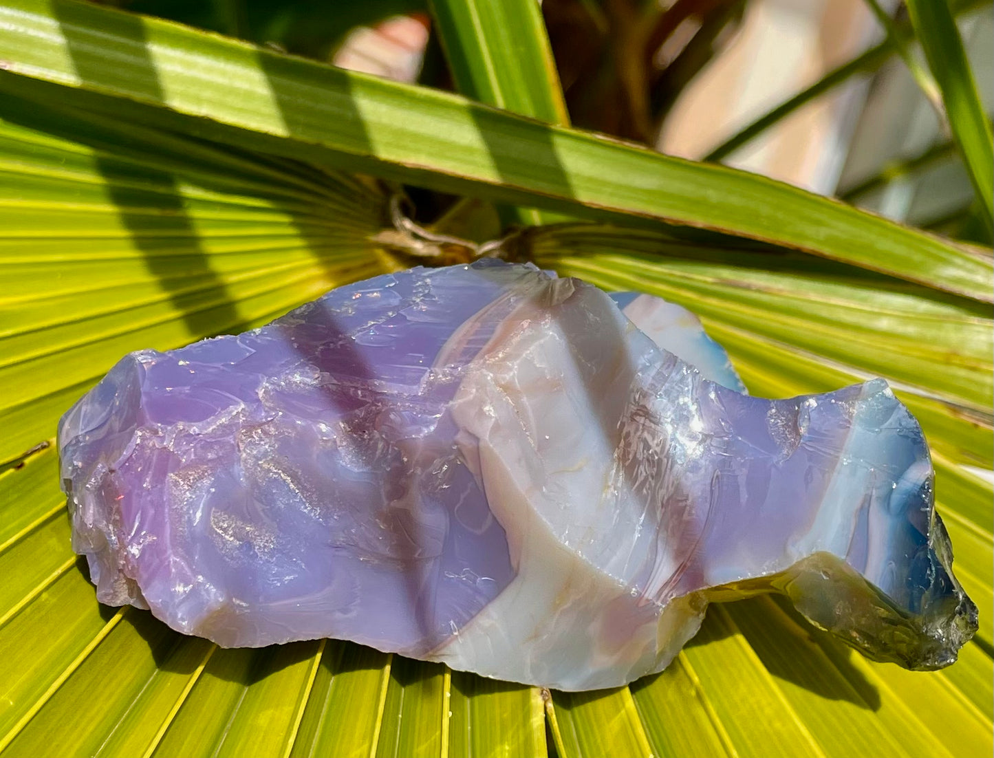 ANDARA Français opaque Dragon Impérial Flamme violette 142 g | french andaras 6D