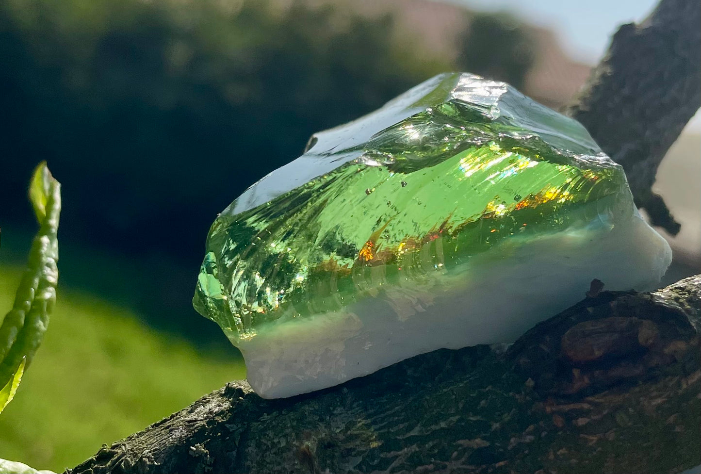 ANDARA Gaïa Amazonia | 61 g | cristal 5D / 777