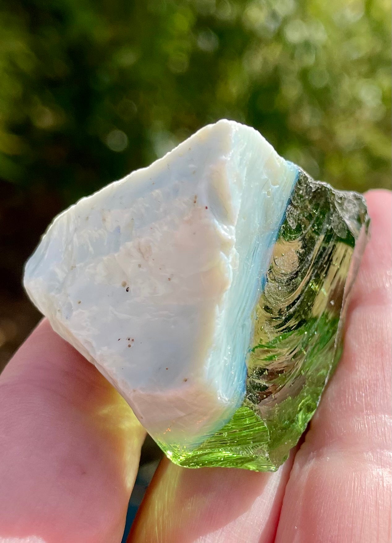 ANDARA• Amazonia & Mage de la Transcendence / 48 g ~ Nouvelle Génération
