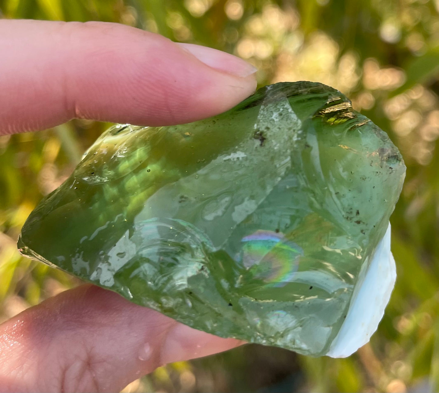 ANDARA Gaïa Amazonia | 61 g | cristal 5D / 777