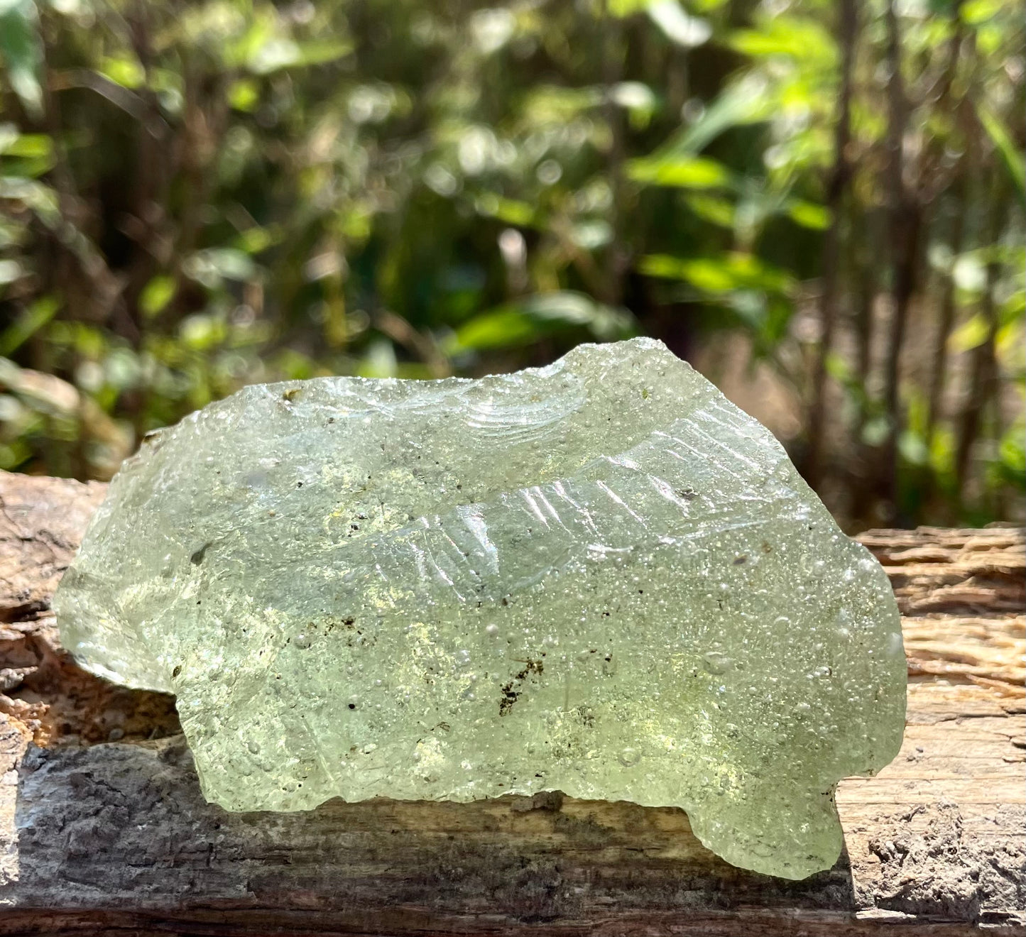 ANDARA Ecume de mer vert Lady Nellie 184 g