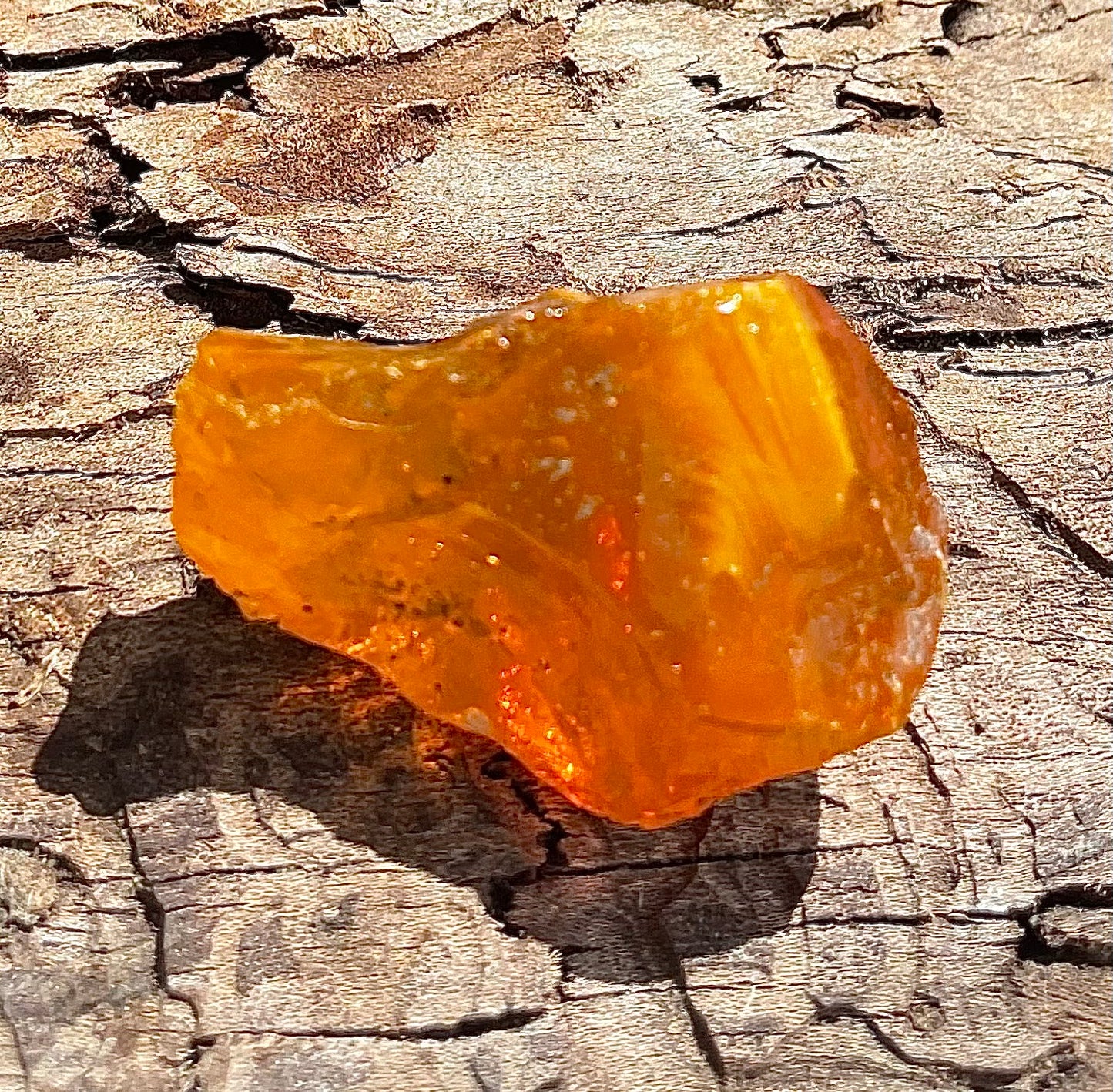 ANDARA Oeil de Cobra 41 g | Cristal 5D / 777 •