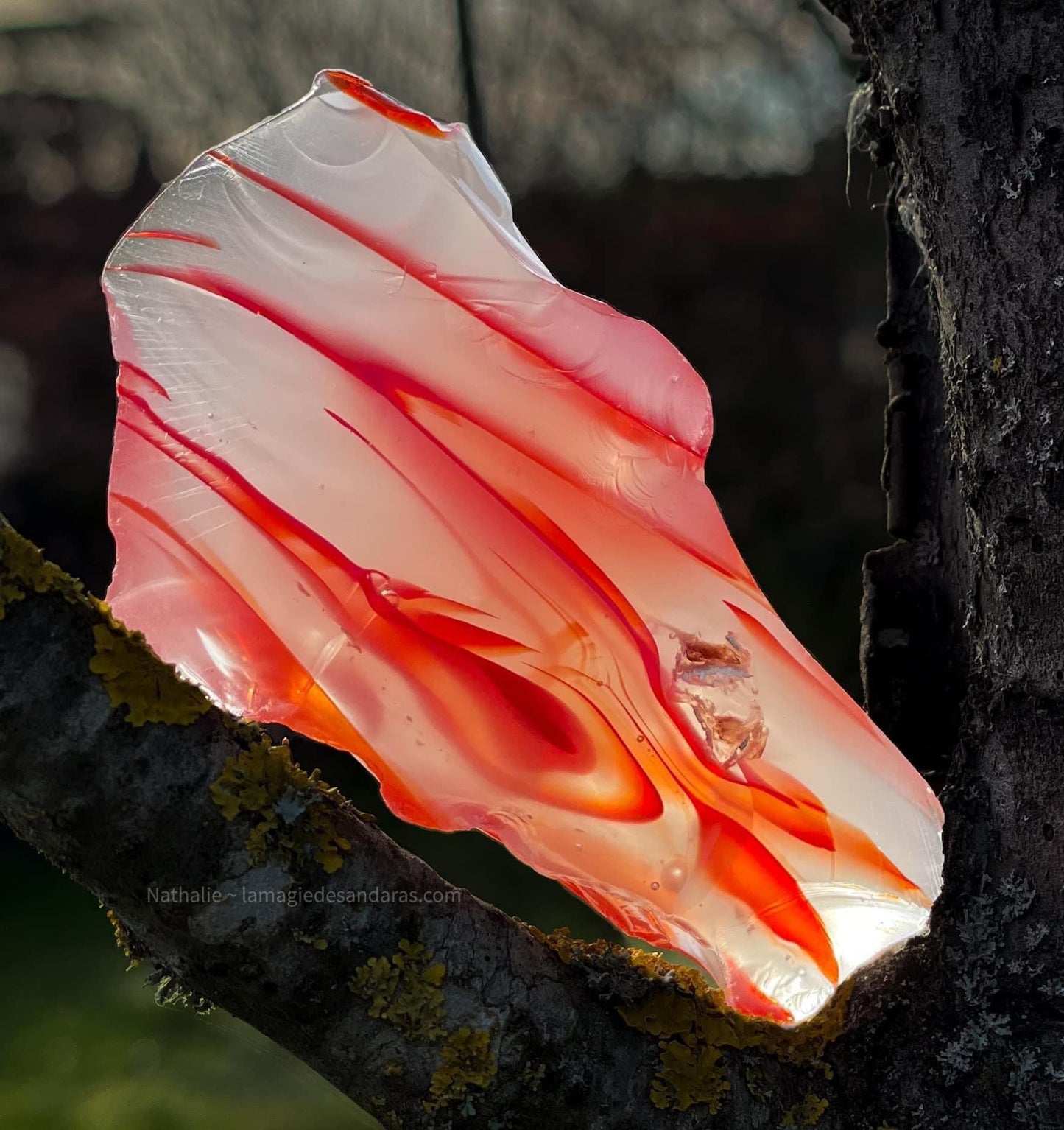 ANDARA Dragon ANTARES 65 g | ANDARA crystal