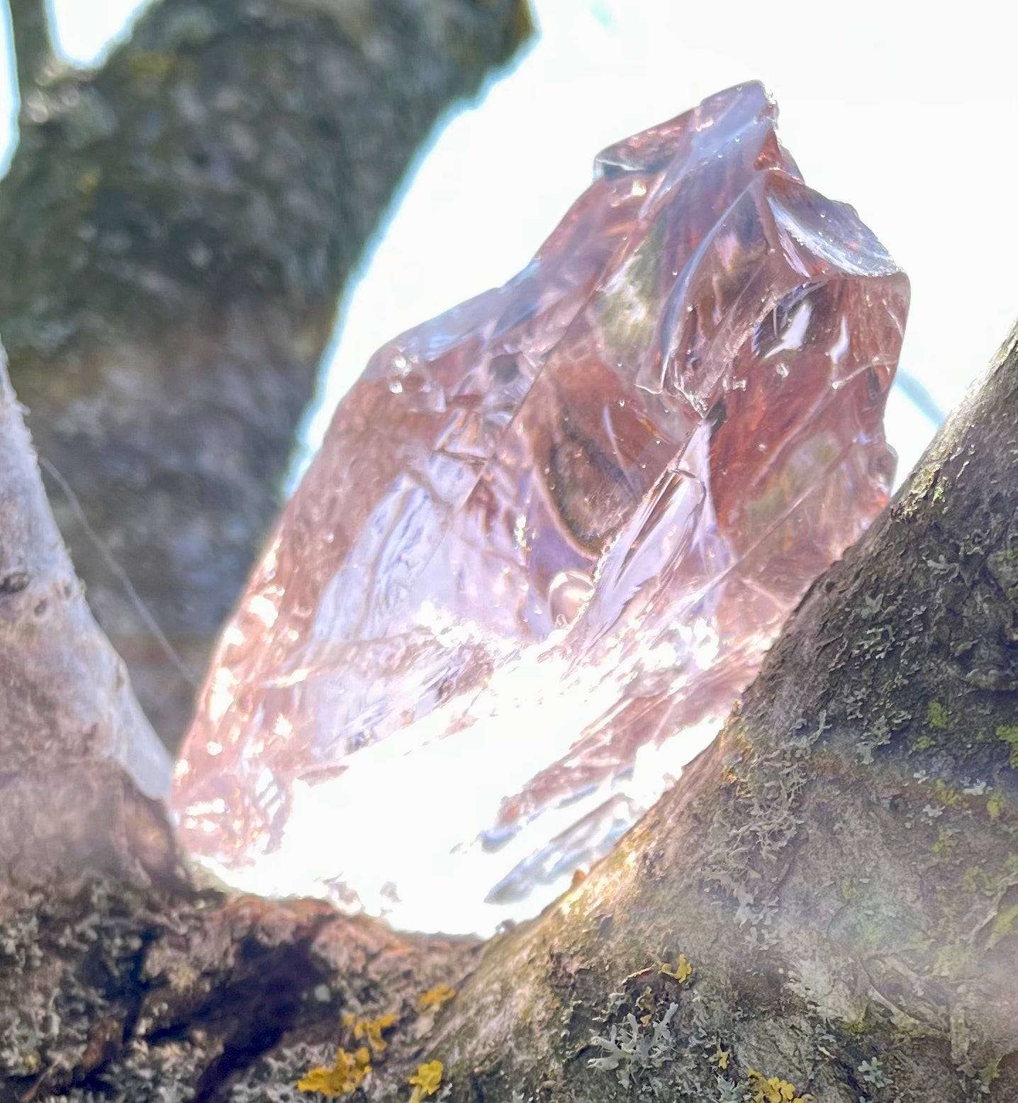 Très Rare ANDARA Rose de France Lady Nellie 127 g | cristaux andaras