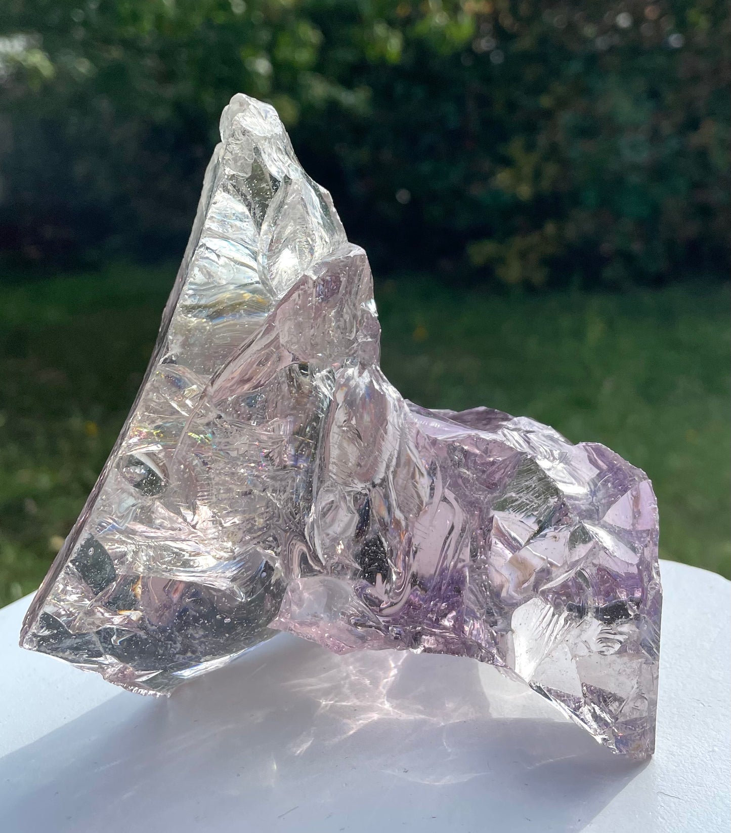ANDARA Français bicolore Lilac de rose ~ 534 g | French Andaras 6D