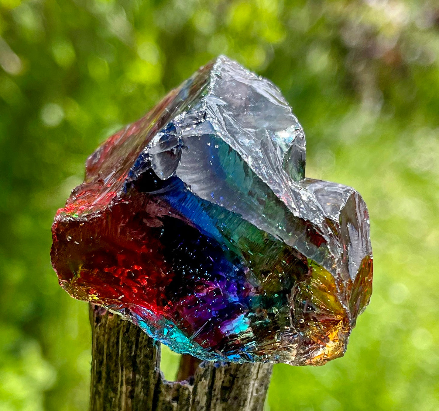 ANDARA Rainbow Warrior 57 g | ANDARA Arc en Ciel 🌈