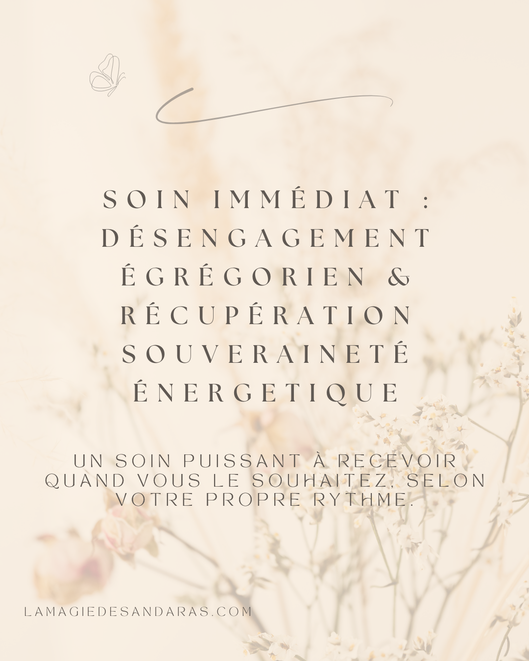 Soin immédiat : DÉSENGAGEMENT ÉGRÉGORIEN & RÉCUPÉRATION SOUVERAINETÉ ÉNERGETIQUE 2/2