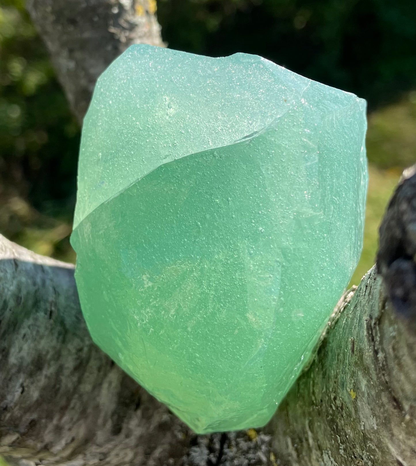 ANDARA Altar Fruit de la Connaissance Ecume de Gaïa 675 g | pierre andara / REF 7
