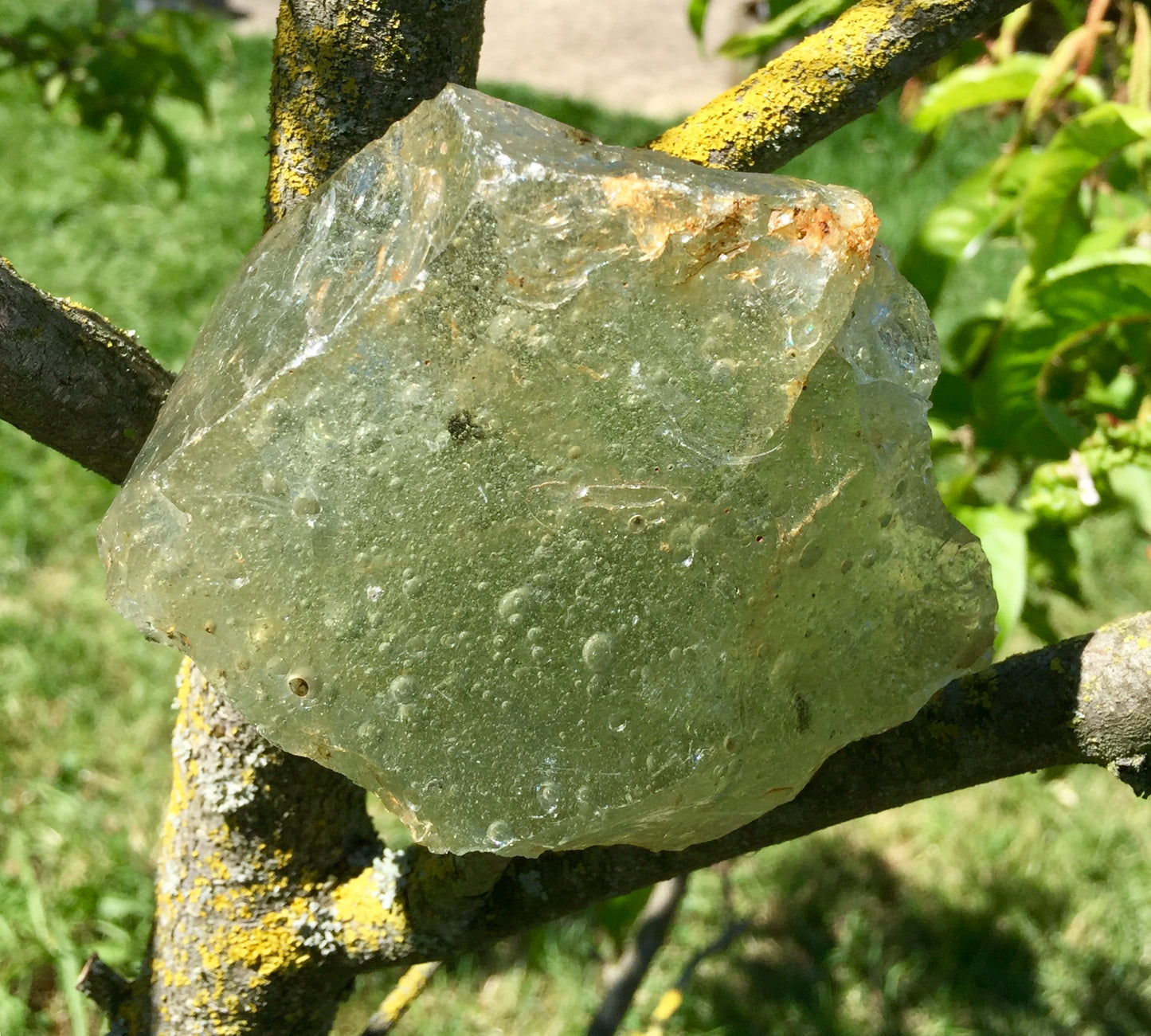 andara Elder Ladie Nellie seafoam