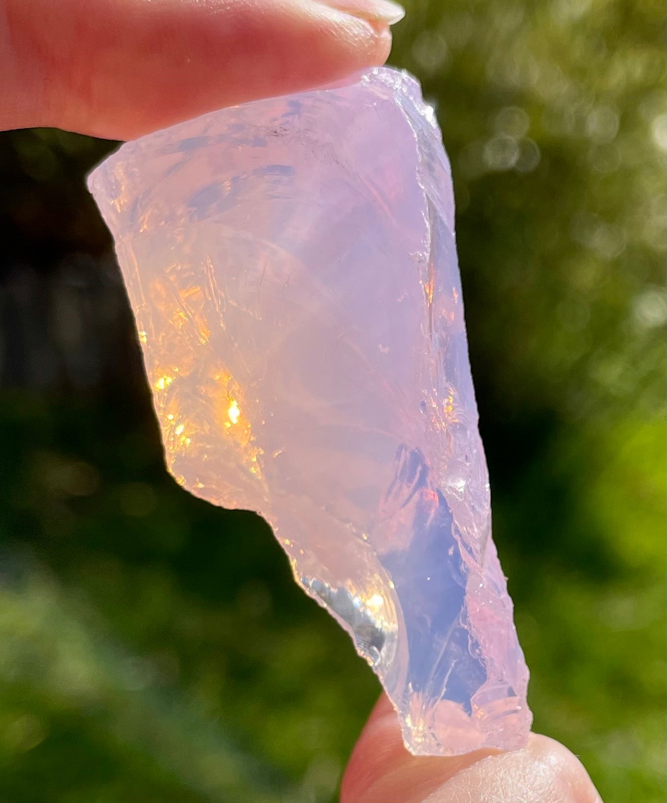 ANDARA Shekina rose 38 g