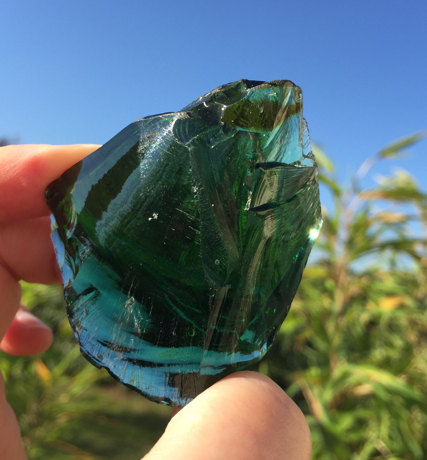 ANDARA bicolore Deep Forest Chamane 53 g