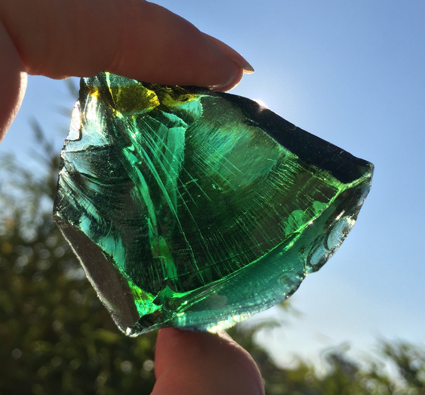 andara bicolore