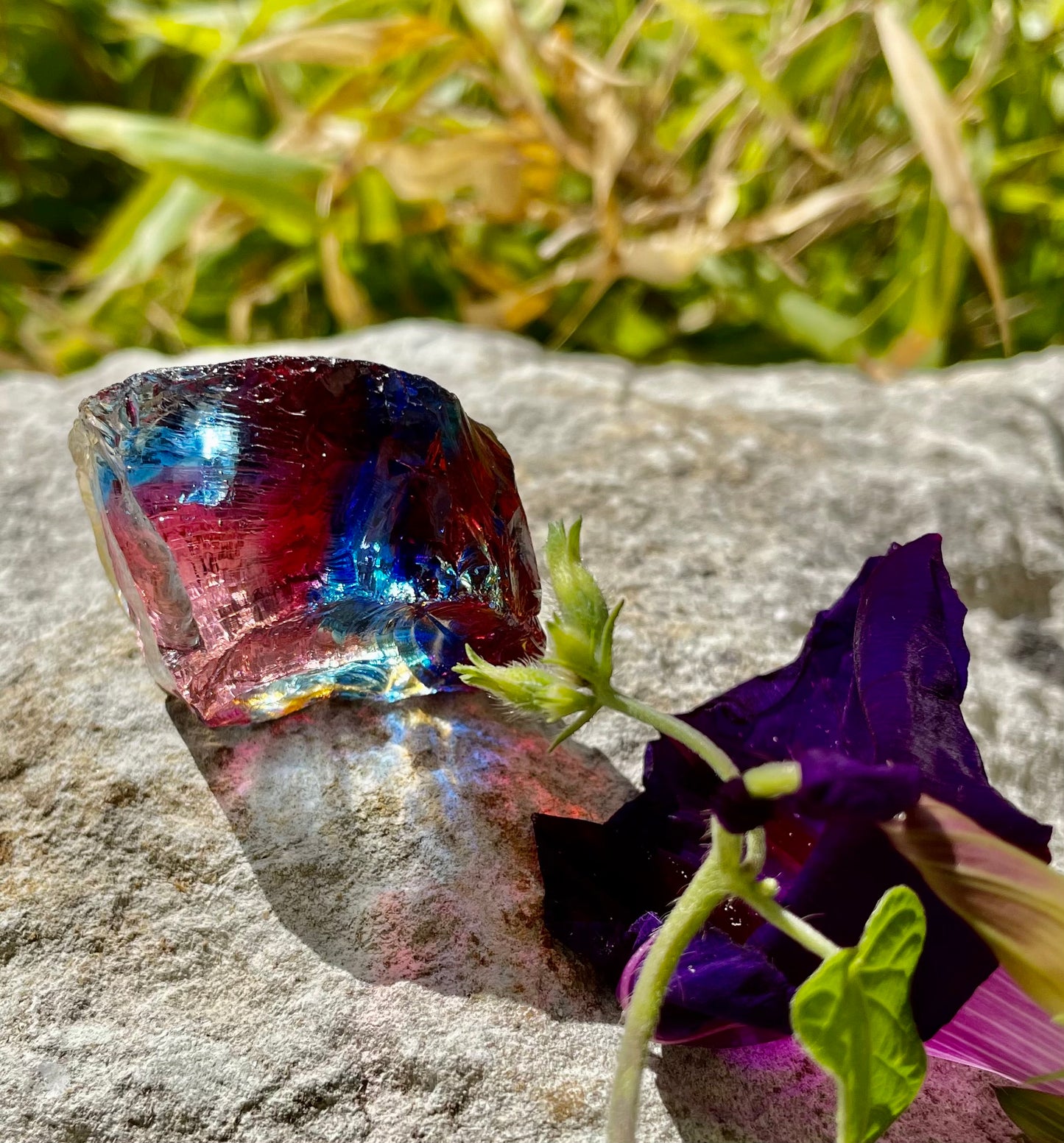ANDARA Rainbow Warrior 43 g