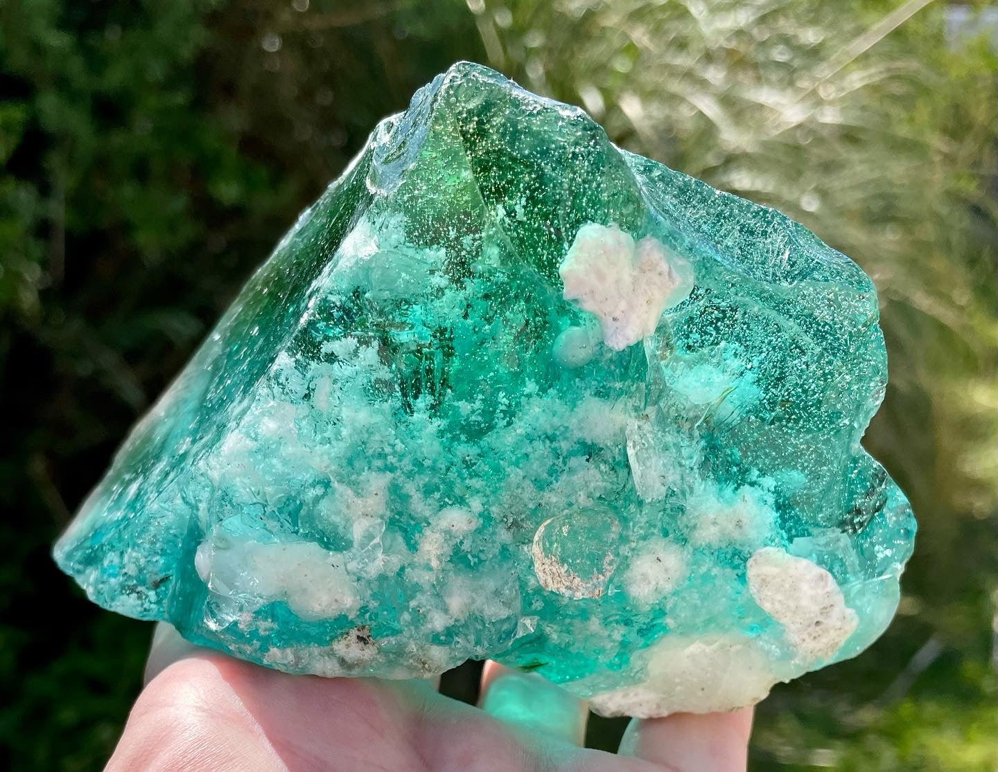 ANDARA ALTAR Terre australe 742 g