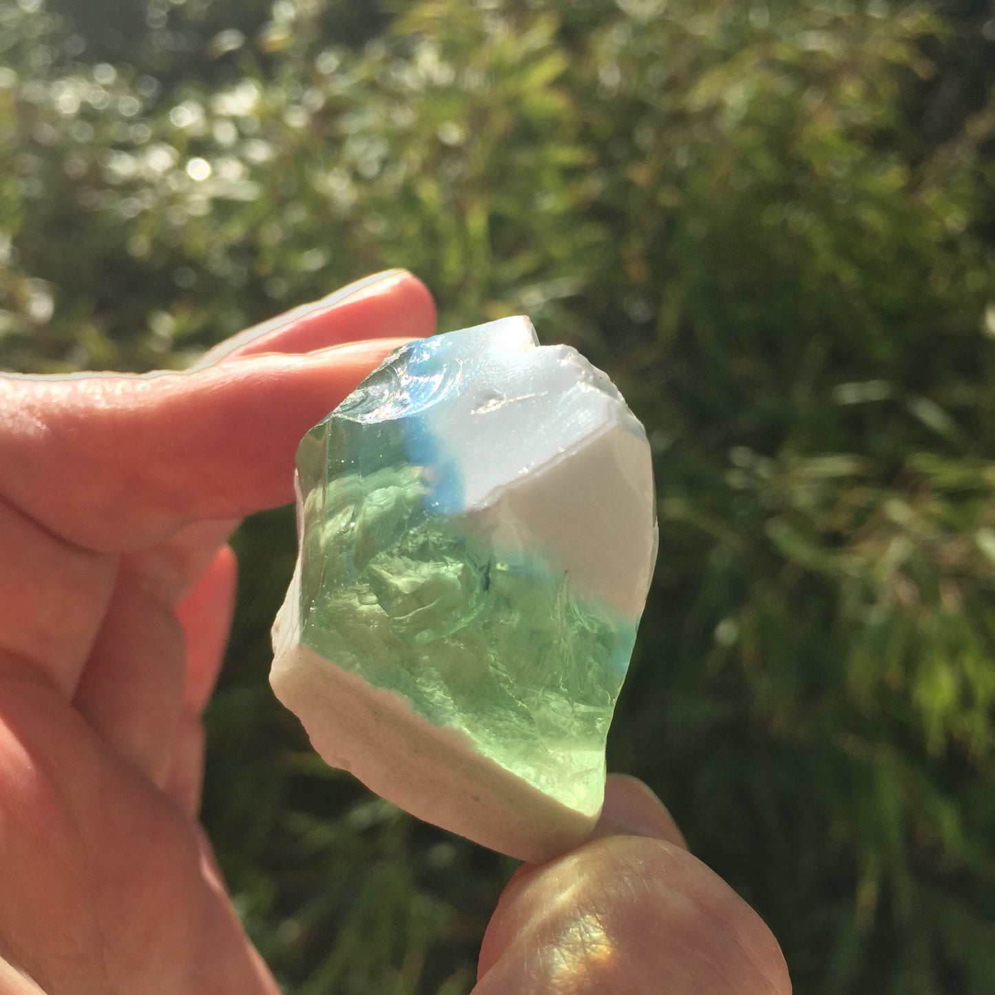 ANDARA rare atypique tricolore 56 g | RA1