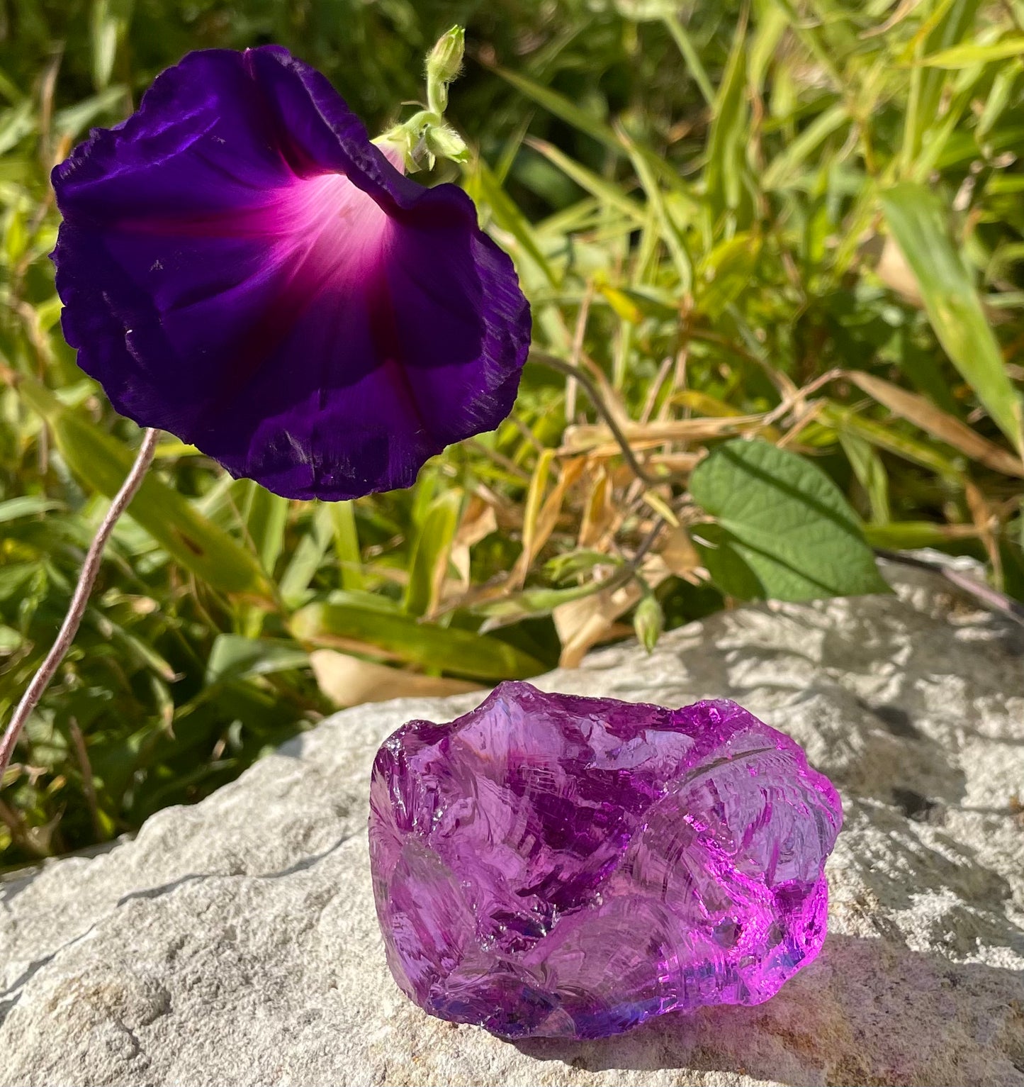 ANDARA Magenta Lilac Vénusien 72 g ~ mineral monoatomique