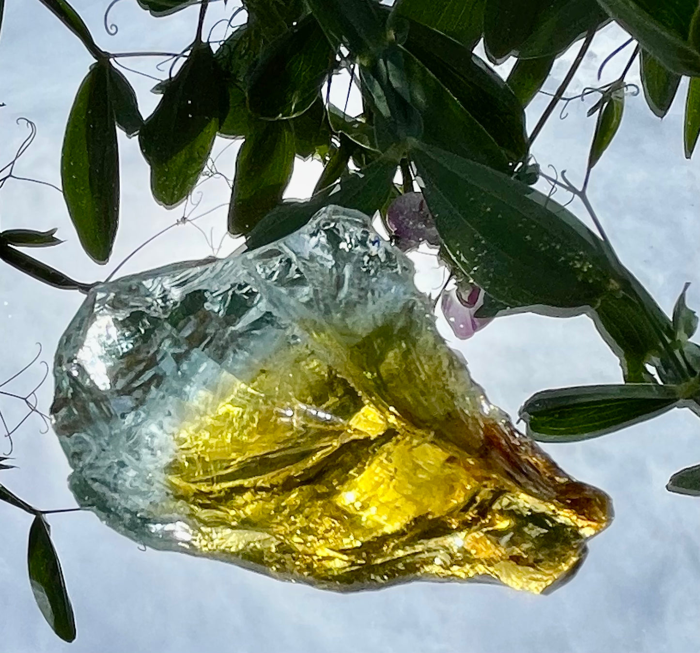 ANDARA Miel des Abeilles de l'Etreté ~ 46 g