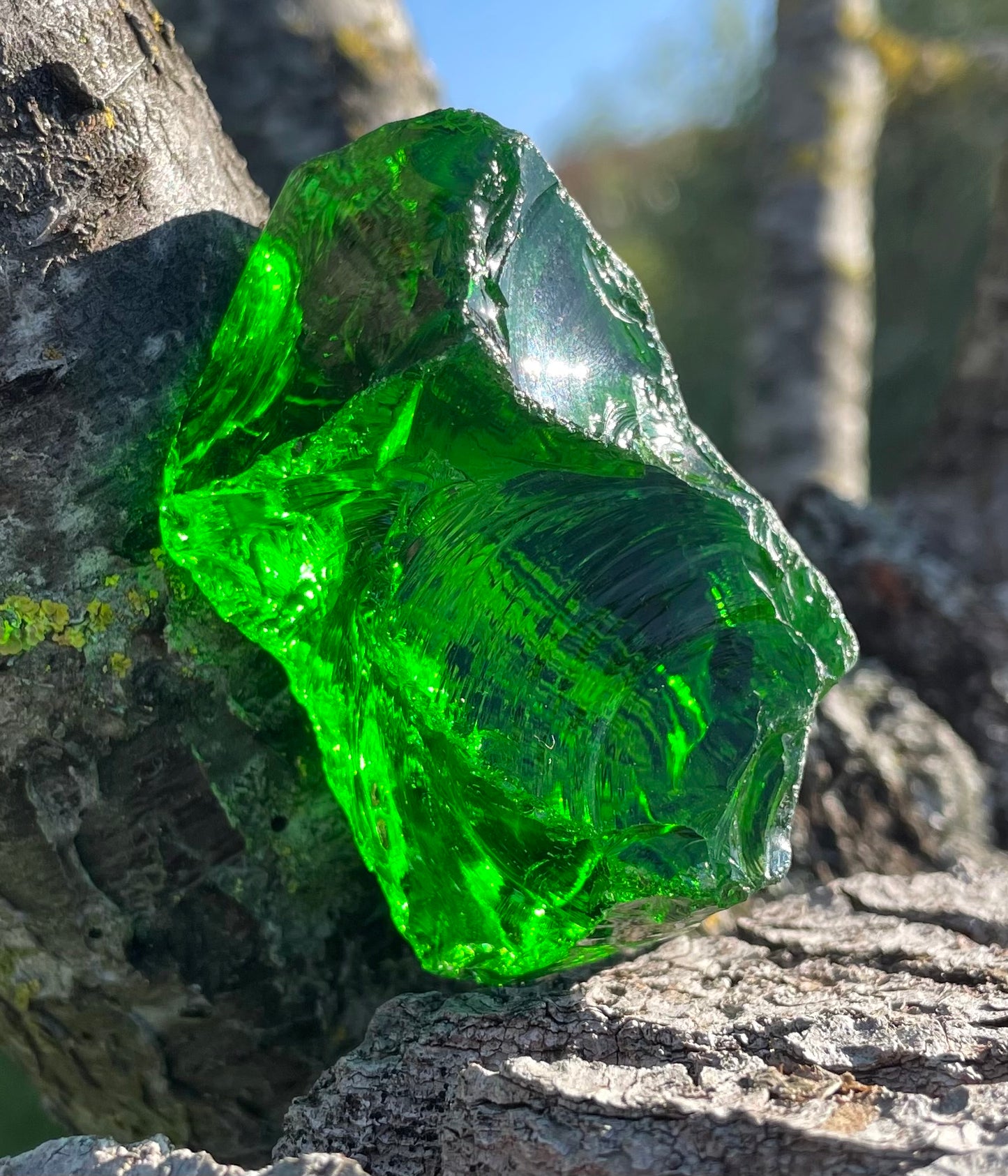 ANDARA Deep Forest 83 g