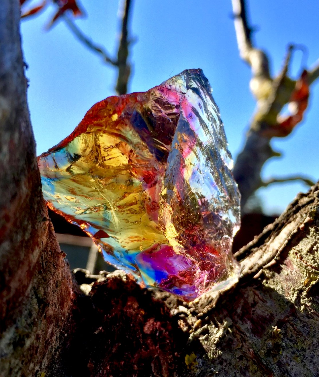 ANDARA đ Rainbow Bridge 44 g R2