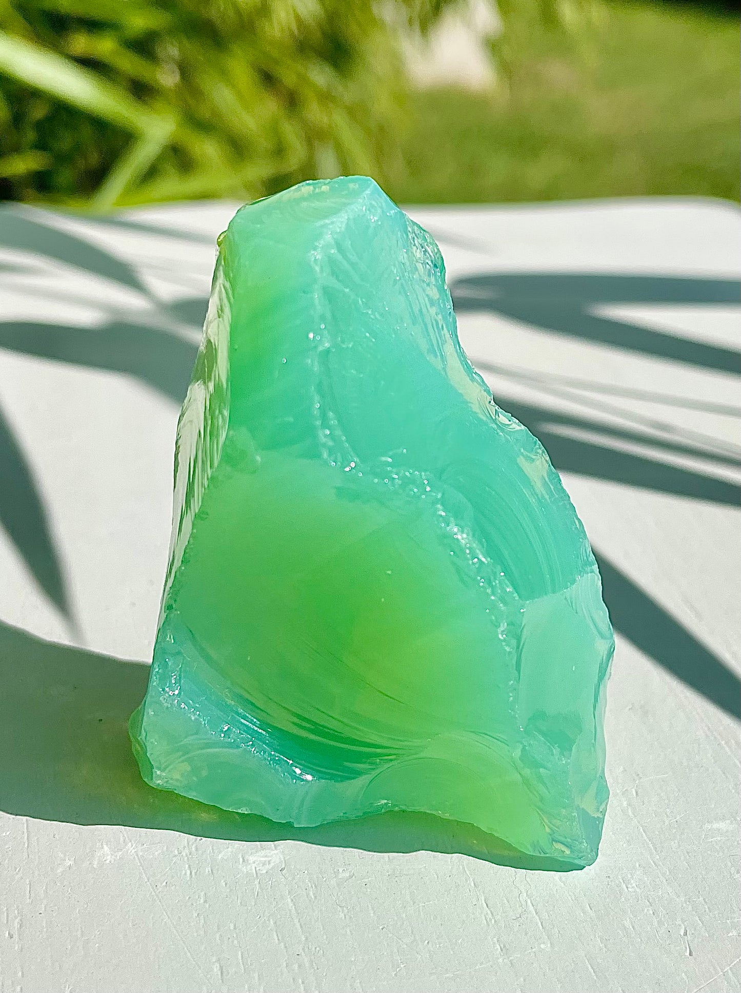 ANDARA Dragon de la Nouvelle Terre 78 g