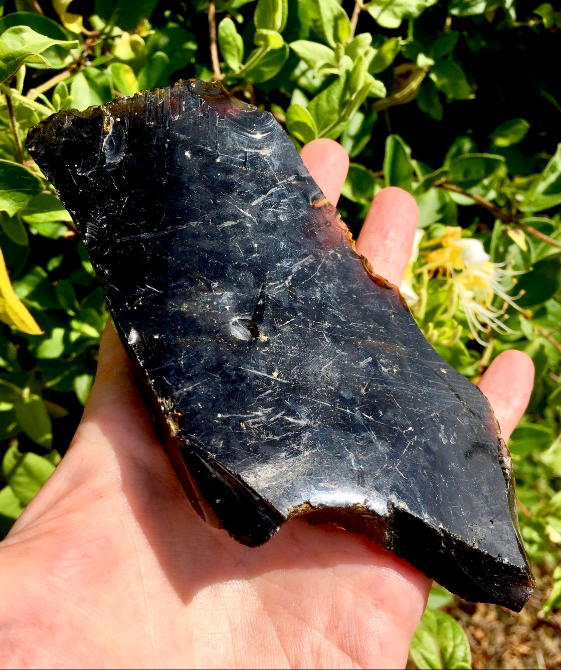 Elder Ladie Nellie andara shaman