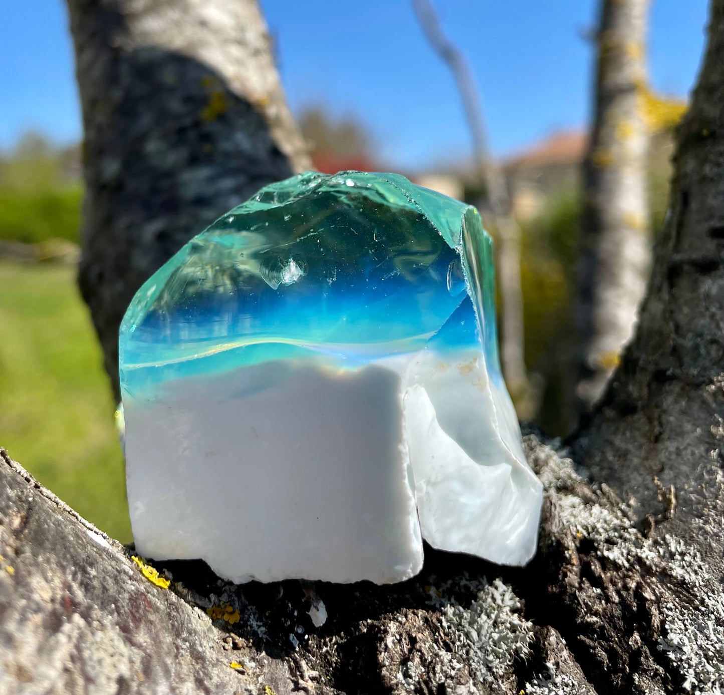 ANDARA atypique Gaïa 132 g