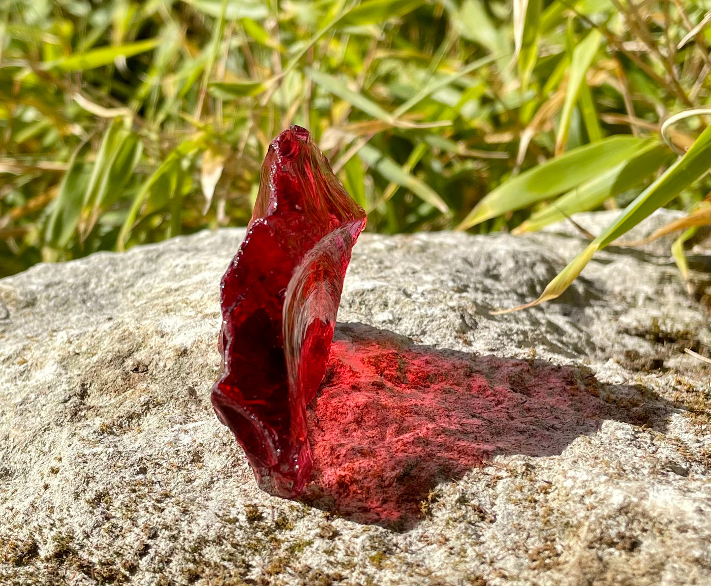 ANDARA Groseille des Lutins 48 g