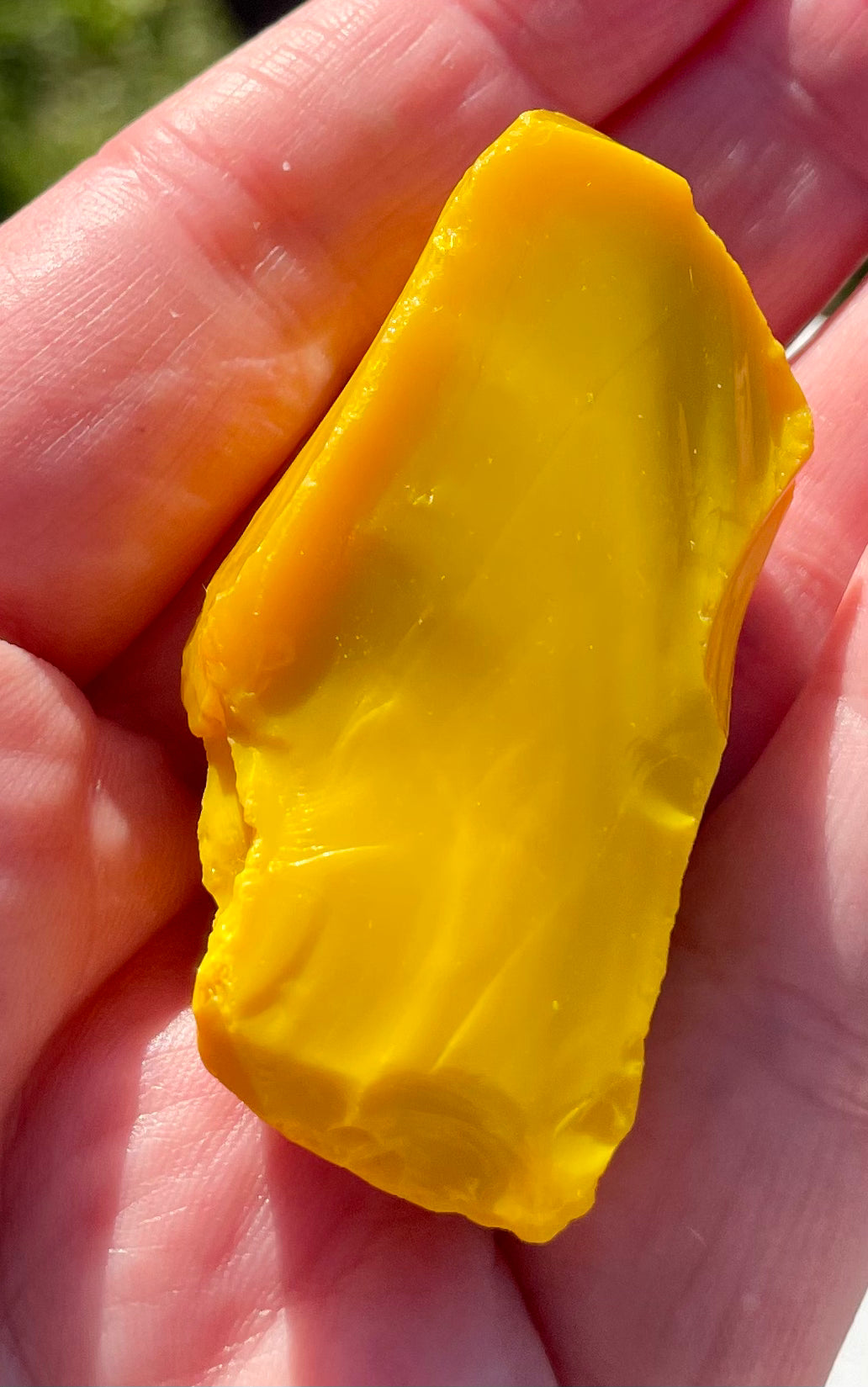 ANDARA Smilodon 36 g | Quantum ANDARA | R87