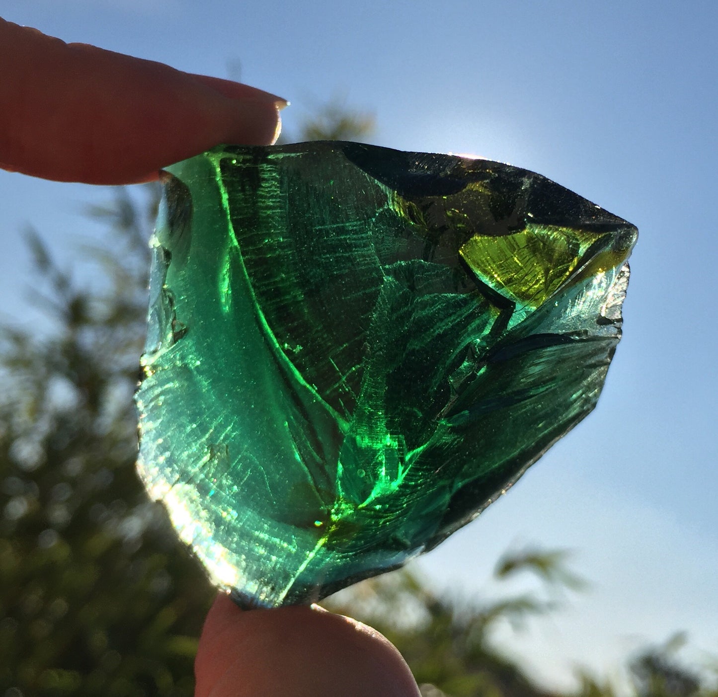ANDARA bicolore Deep Forest Chamane 53 g