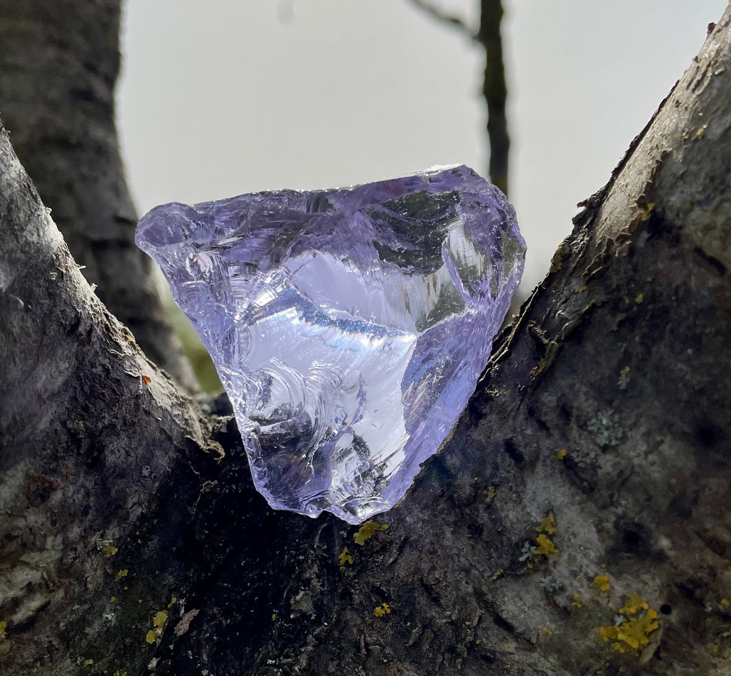 ANDARA Ascended Lilac 38 g