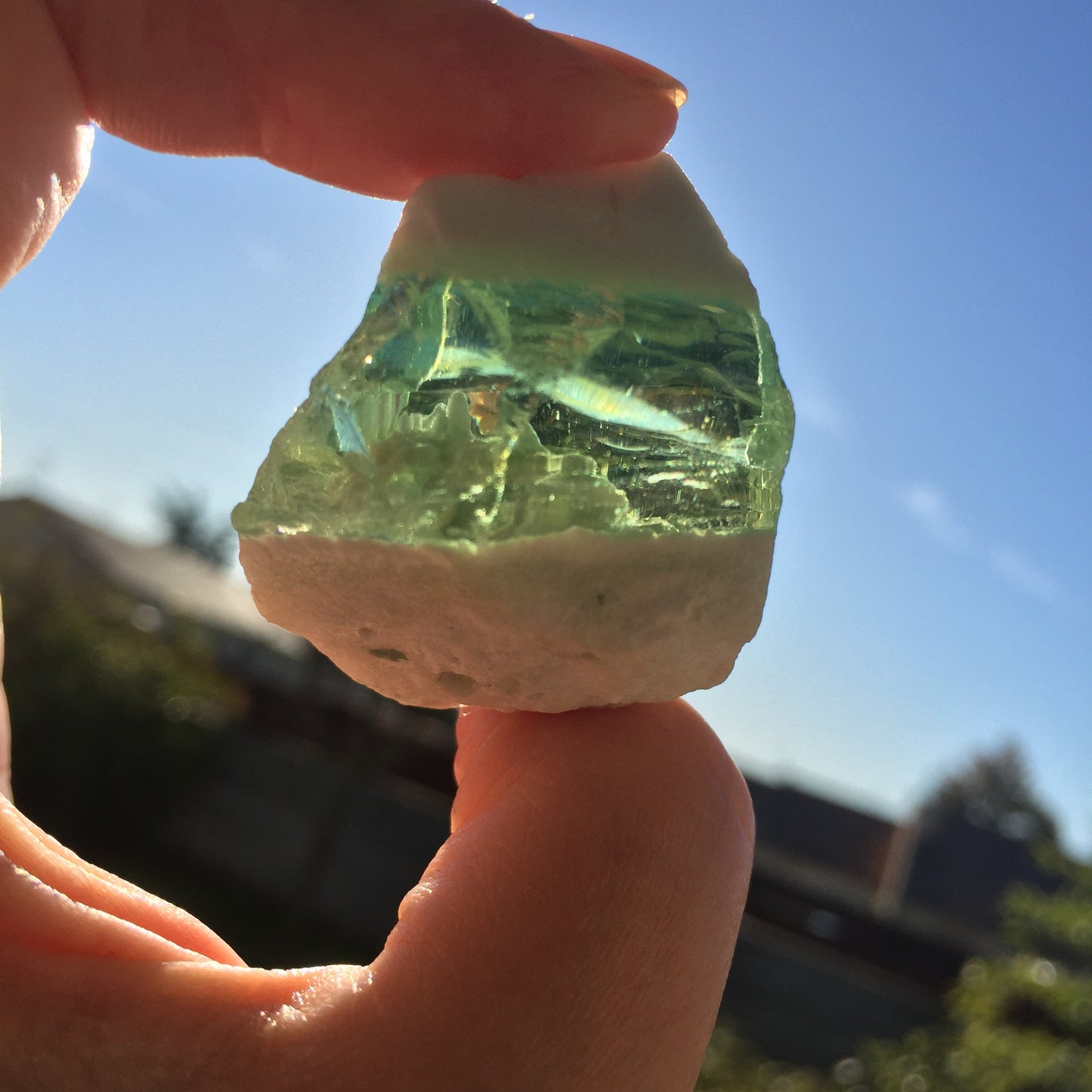 ANDARA rare atypique tricolore 56 g | RA1