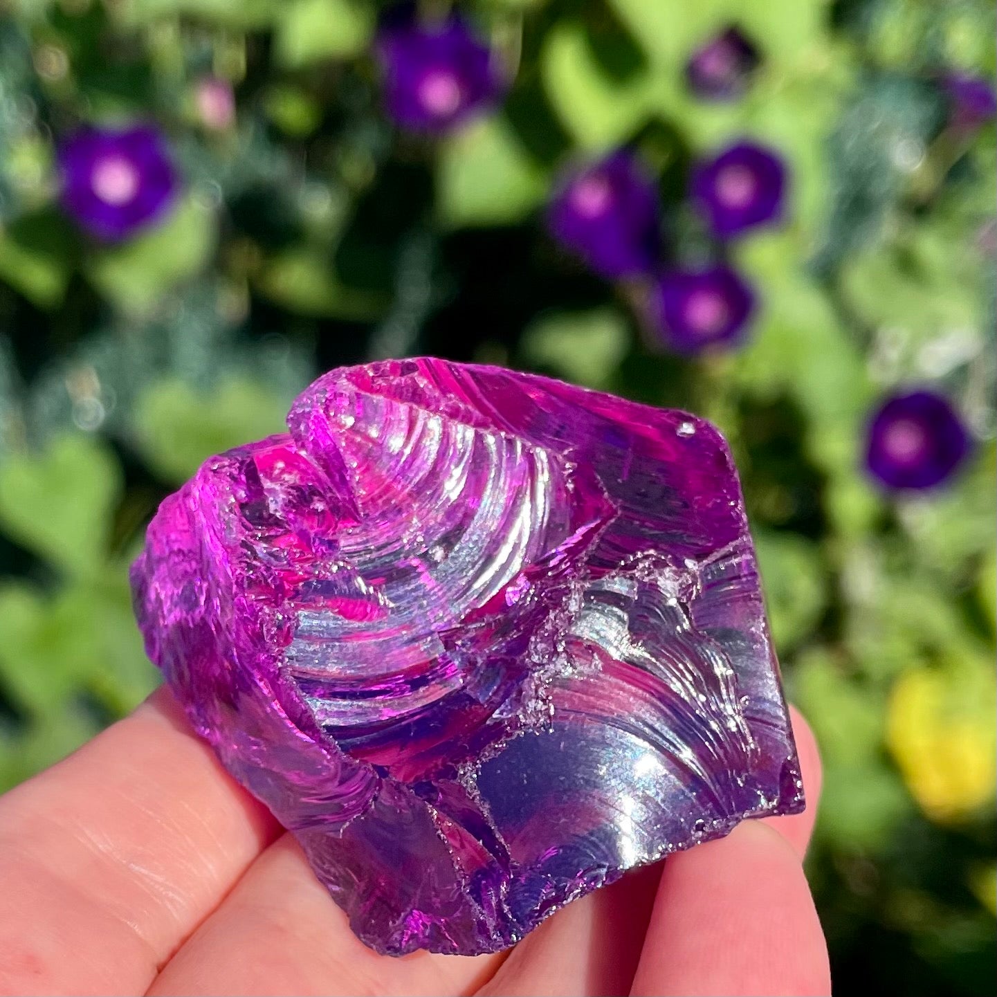 ANDARA Magenta Lilac Vénusien