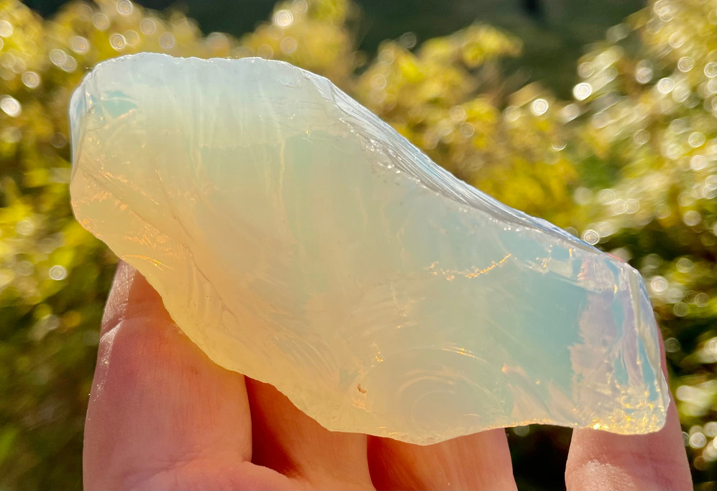 ANDARA• Corne de Licorne 144 g ~ minéral monoatomique