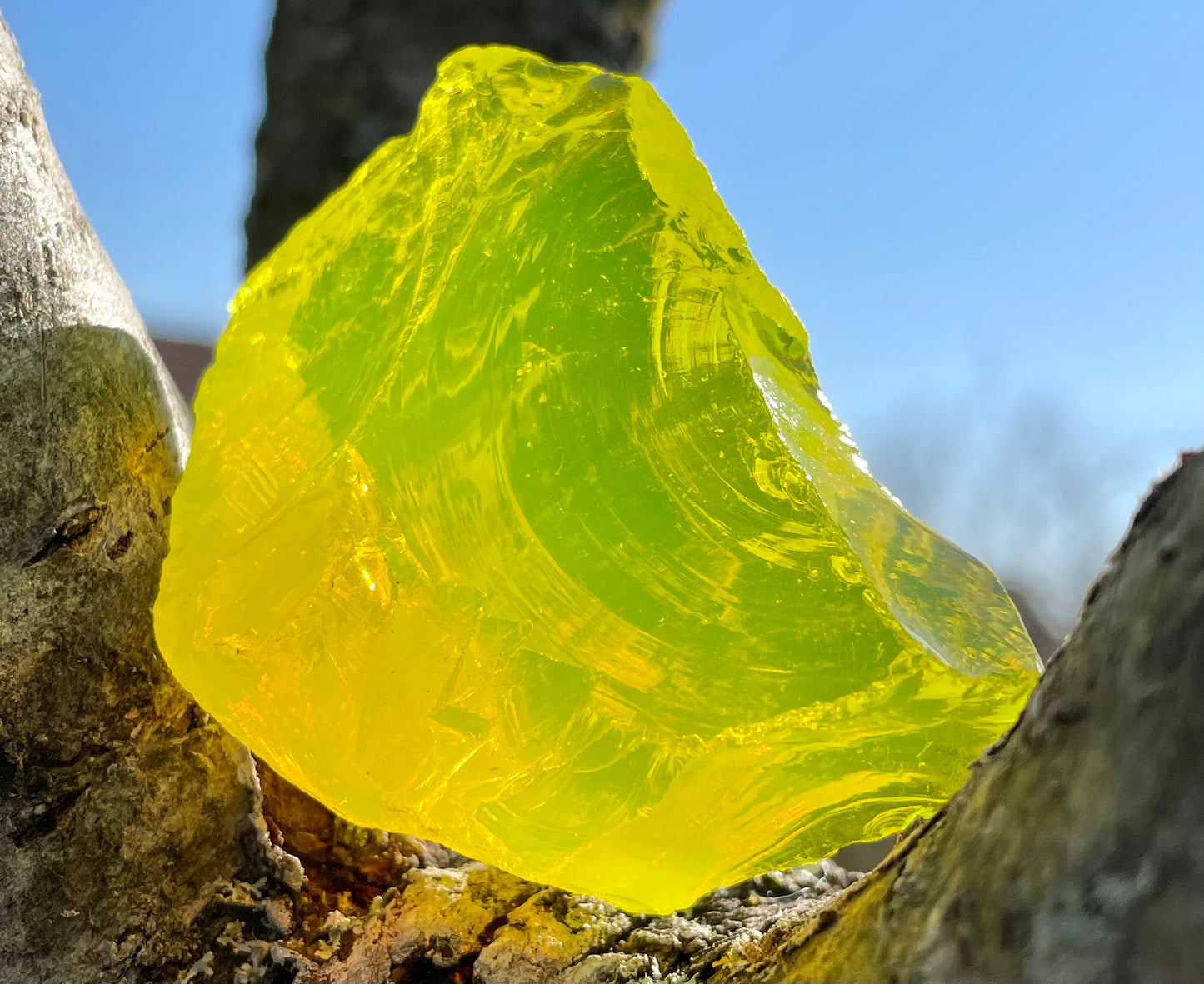 ANDARA Dragon Jaune 44 g | Quantum ANDARA | R71