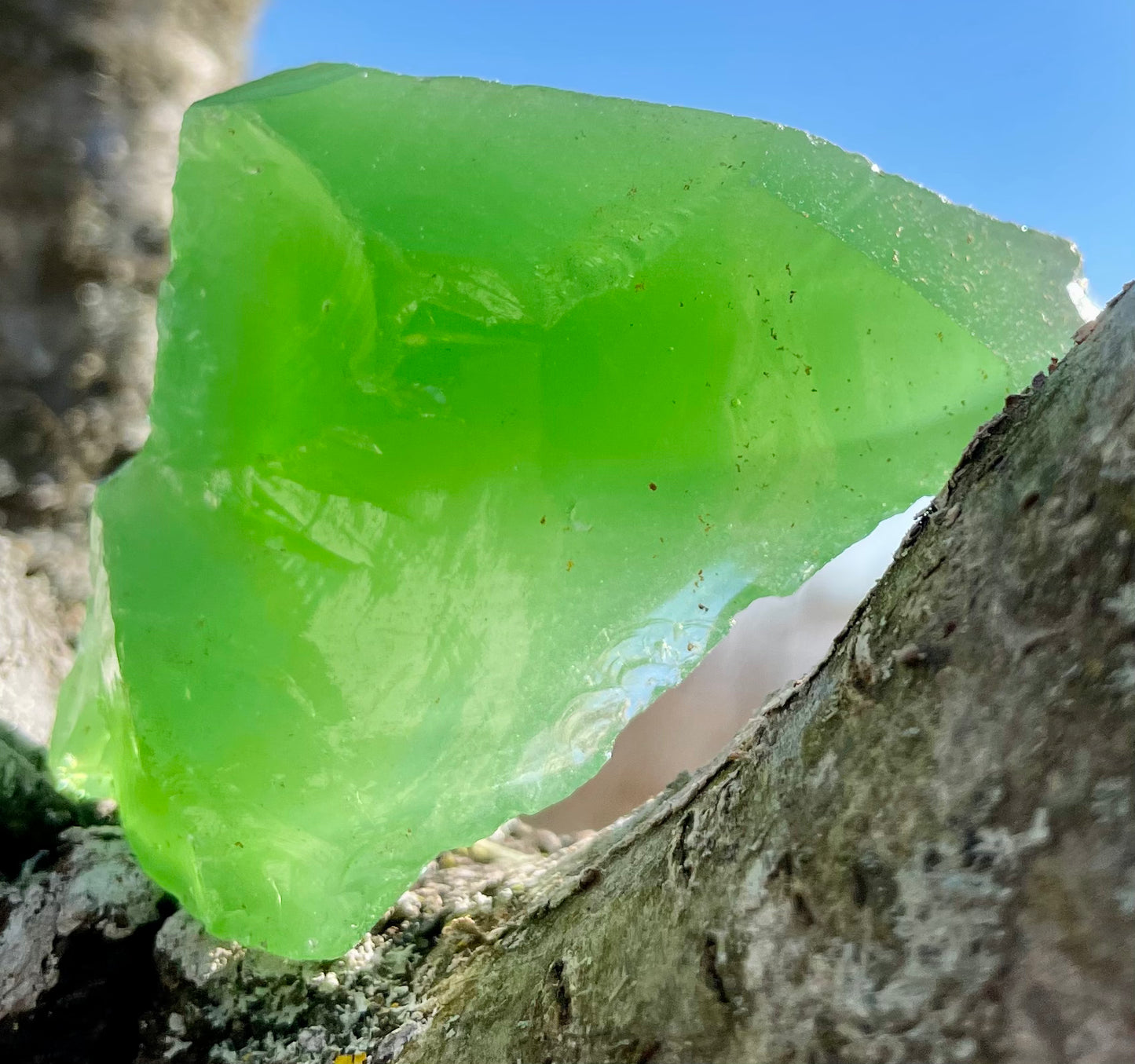 ANDARA Brocéliande 40 g | Quantum ANDARA | R74