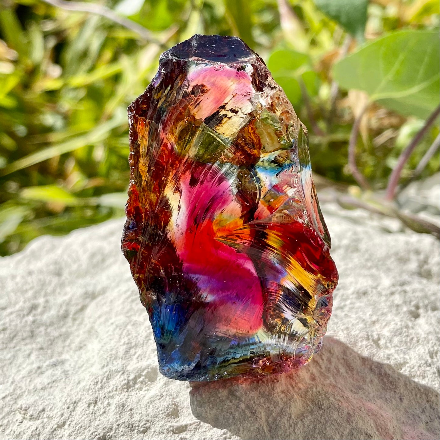 ANDARA Rainbow Warrior